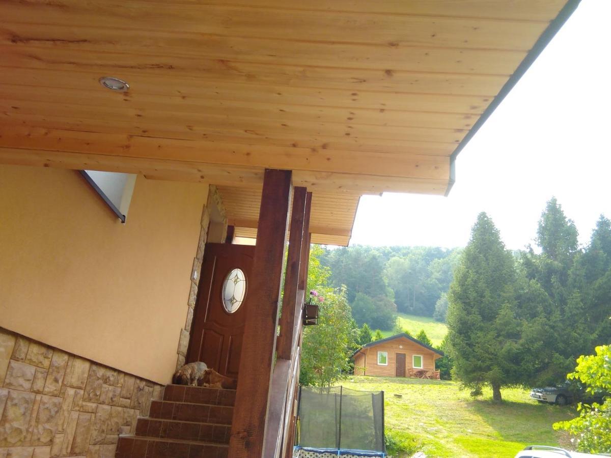 Noclegi Pod Lasem Solina 20 エクステリア 写真